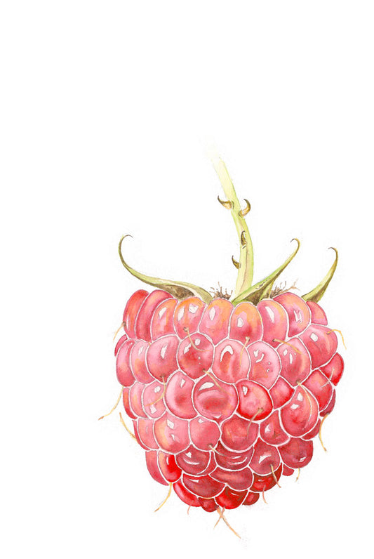 Raspberry