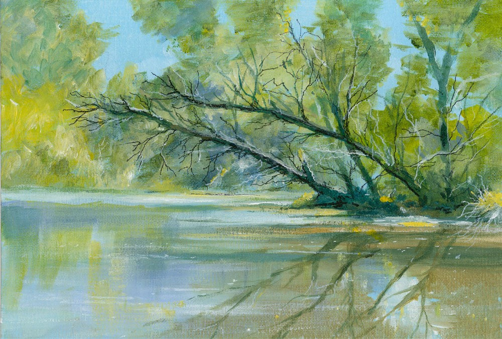 New Forest Reflections