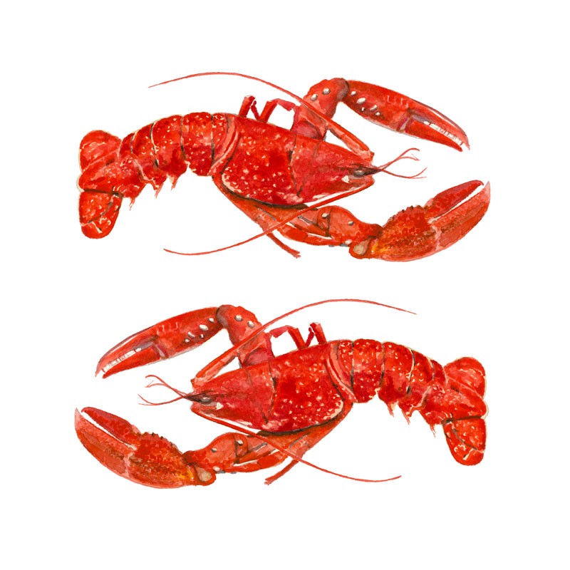 Two Red Lobsters