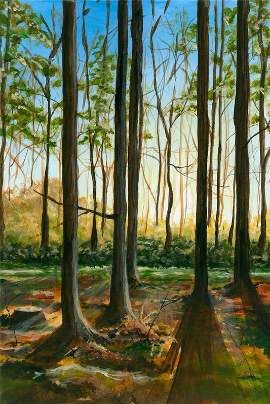 Fading Light, Brockenhurst