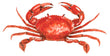 Red Crab