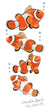 Clownfish Family