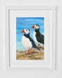 Puffins