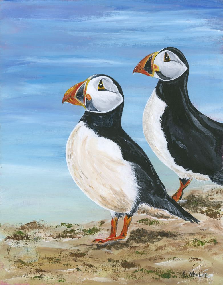 Puffins