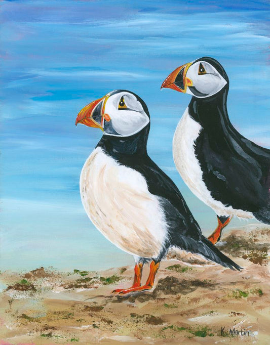 Puffins