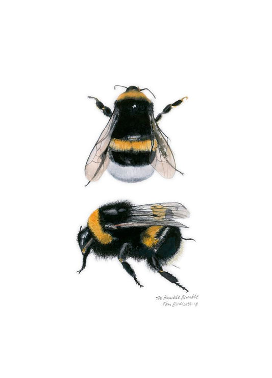 Humble Bumble