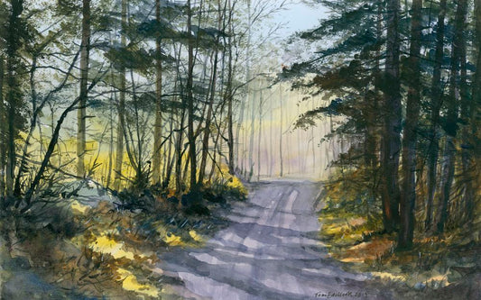 New Forest Trail
