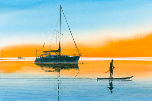 The Paddle Boarder
