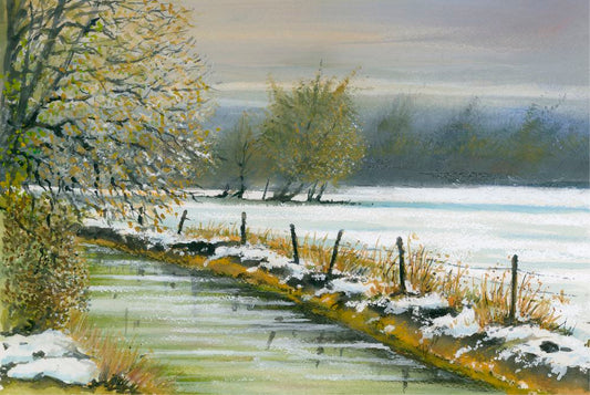 Winter Morning